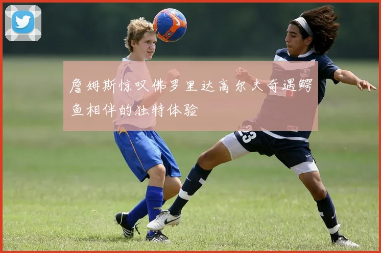 詹姆斯惊叹佛罗里达高尔夫奇遇鳄鱼相伴的独特体验