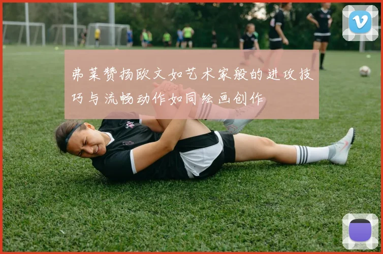 弗莱赞扬欧文如艺术家般的进攻技巧与流畅动作如同绘画创作