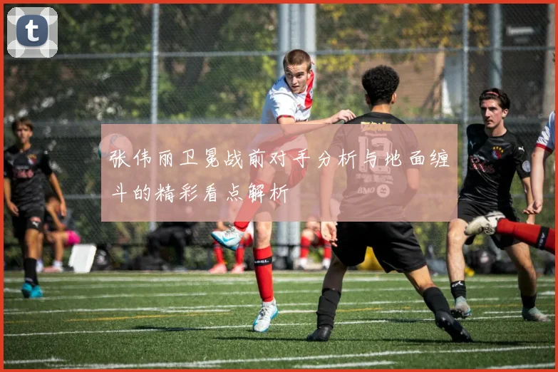 张伟丽卫冕战前对手分析与地面缠斗的精彩看点解析